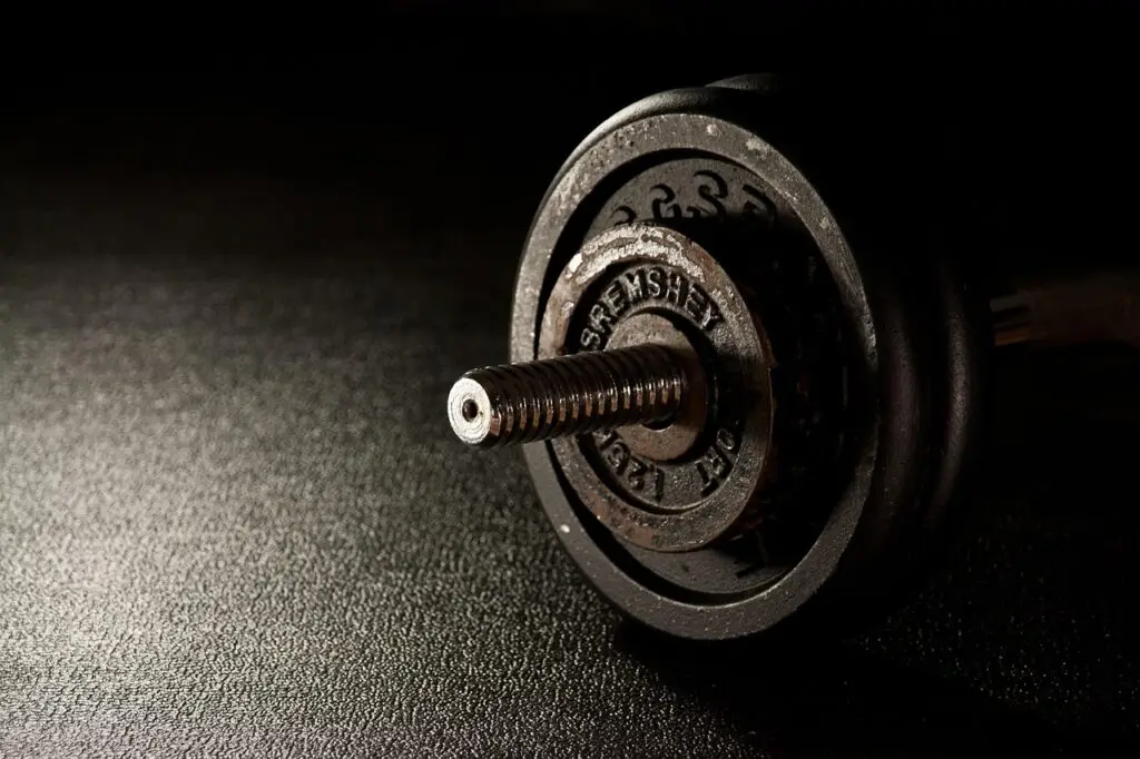 fitness, weight, dumbbell, gym, fitness center, weight lifting, weight training, fit, gym, gym, gym, gym, gym
