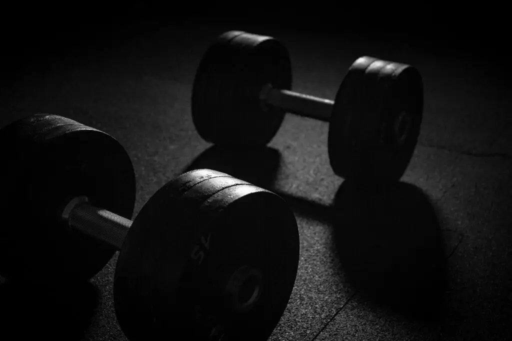 dumbbell, sports, weights, weight training, weight lifting, muscles, muscle training, work out, weight plates, training, fitness, dark, dumbbell, dumbbell, dumbbell, dumbbell, dumbbell, weights, weights, weights, weight lifting, work out, work out, work out